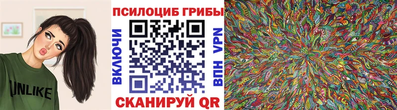 Купить закладки Ханты-Мансийск Галлюциногенные грибы Psilocybine cubensis