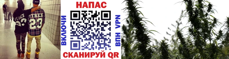 Купить где  Ханты-Мансийск  Шишки марихуана Amnesia 
